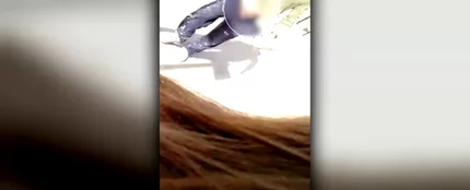 Una joven graba al hombre que la perseguía masturbándose delante de ella a plena luz del día Una joven graba al hombre que la perseguía masturbándose delante de ella a plena luz del día