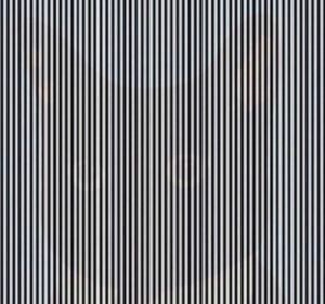 ¿Consigues ver un gato en esta imagen? ¿Consigues ver un gato en esta imagen?