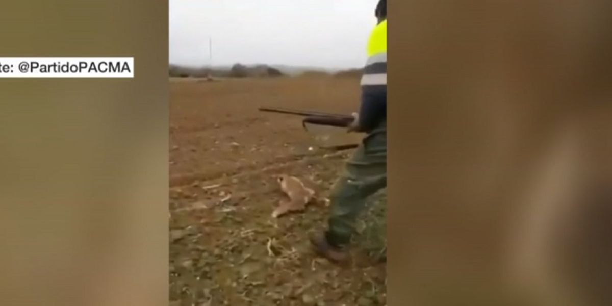 Imagen de un cazador que agrede brutalmente a un zorro