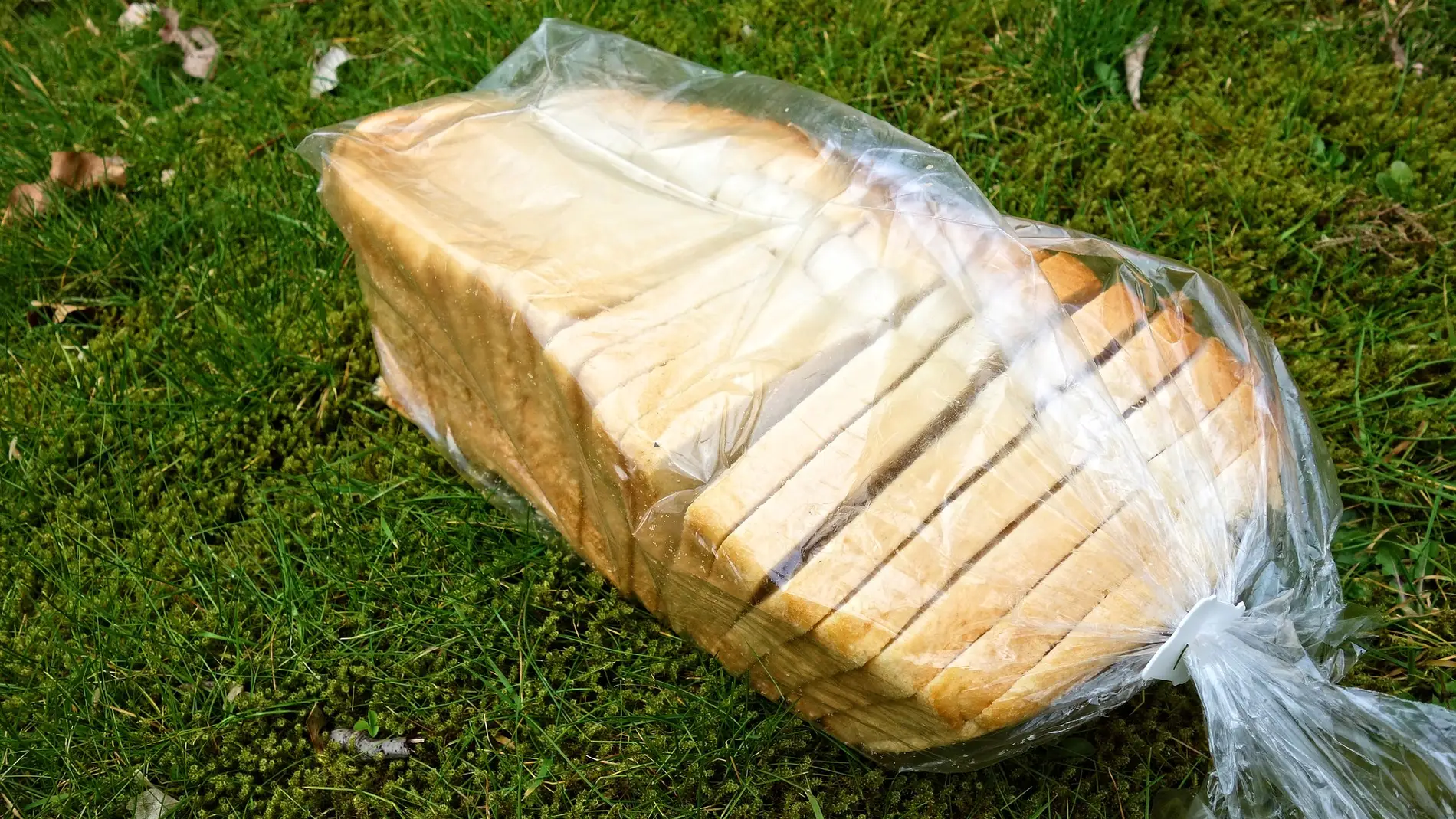 Imagen de archivo de una bolsa de pan title=