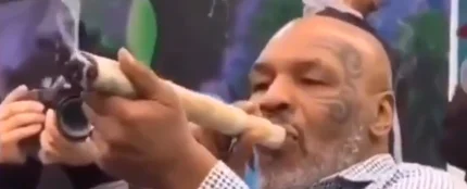 Mike Tyson, fumándose un porro gigante Mike Tyson, fumándose un porro gigante