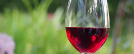 Copa de vino Copa de vino
