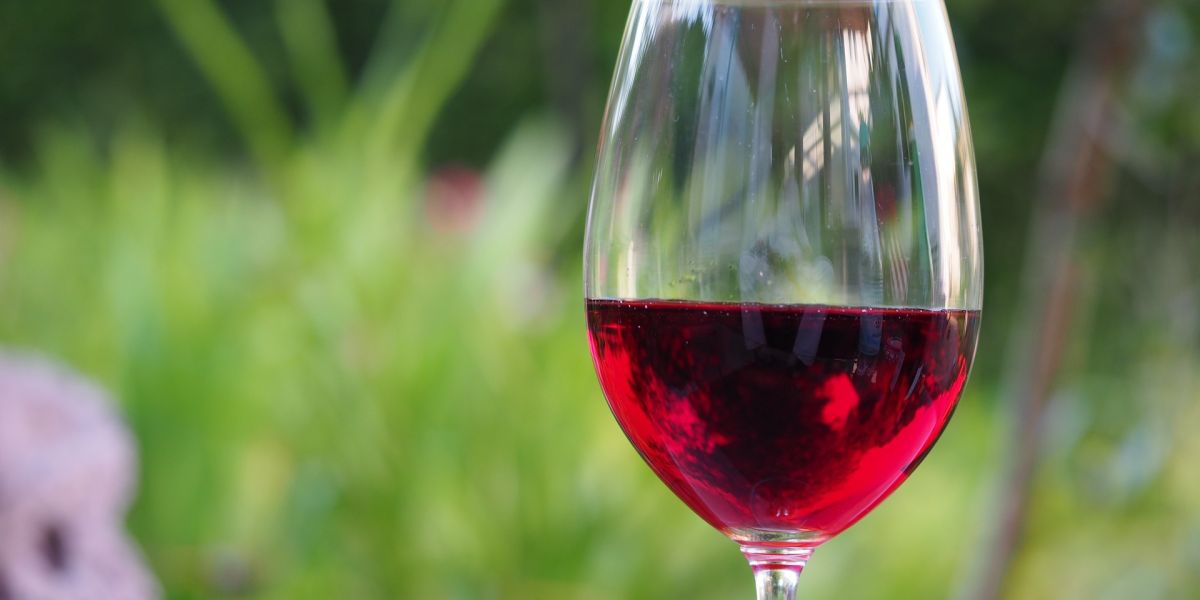 Copa de vino
