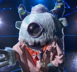 'The Masked Singer' 'The Masked Singer'