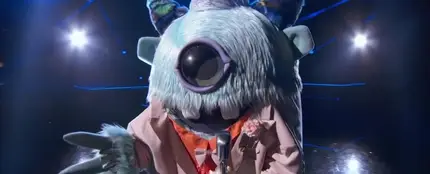 'The Masked Singer' 'The Masked Singer'