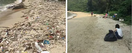 #Trashtag, el nuevo reto viral que beneficia al medioambiente #Trashtag, el nuevo reto viral que beneficia al medioambiente