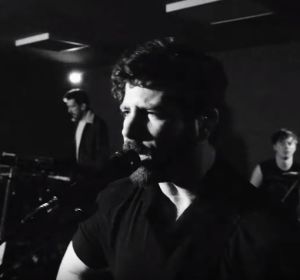 Foals Foals