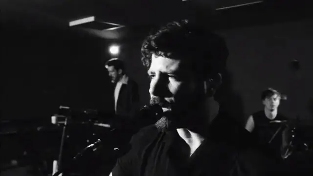 Foals