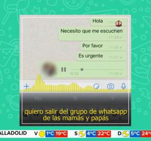 El sorprendente audio de un padre para abandonar el grupo de WhatsApp del colegio de sus hijos: "Me tenéis hasta las bolas" El sorprendente audio de un padre para abandonar el grupo de WhatsApp del colegio de sus hijos: "Me tenéis hasta las bolas"