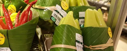 Verduras envueltas en hojas de plátano Verduras envueltas en hojas de plátano