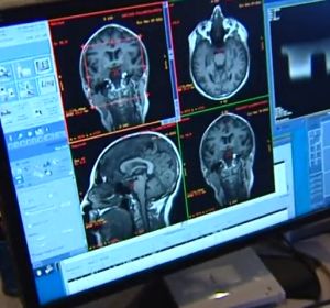 El cerebro humano genera nuevas neuronas hasta los 90 años El cerebro humano genera nuevas neuronas hasta los 90 años