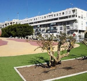 Rotonda en Elche dedicada al 40 aniversario del trasvase Tajo-Segura Rotonda en Elche dedicada al 40 aniversario del trasvase Tajo-Segura