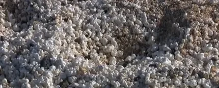 En peligro la playa de las "palomitas" En peligro la playa de las "palomitas"