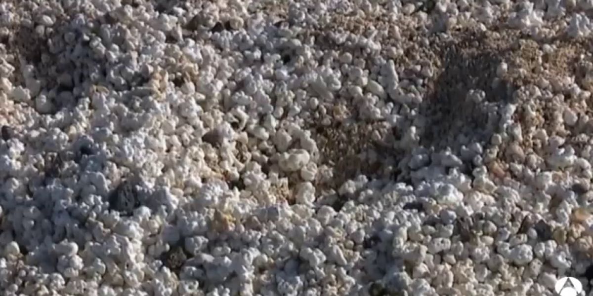 En peligro la playa de las "palomitas"