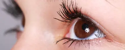 Ojos Ojos