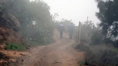 La zona alta de Adeje (Tenerife). La zona alta de Adeje (Tenerife).