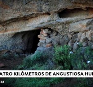El niño que escapó de su padre en Adeje pasa su primera noche con la mujer que hizo de traductora El niño que escapó de su padre en Adeje pasa su primera noche con la mujer que hizo de traductora