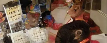 Imagen viral en la que no se puede reconocer ningún elemento Imagen viral en la que no se puede reconocer ningún elemento
