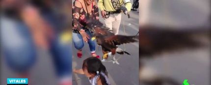 Una niña asustada intenta escapar de las garras de un águila ante las risas de su madre