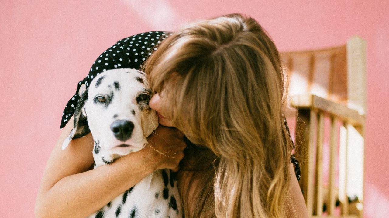Una chica abrazando a un perro Una chica abrazando a un perro
