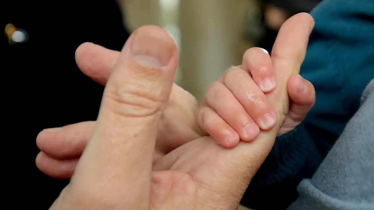 Las manos de un adulto y un bebé Las manos de un adulto y un bebé
