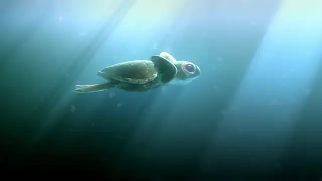 'Lemon', el corto sobre la contaminación en el mar