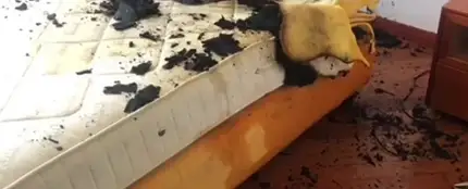 Arde una casa en Valladolid por la explosión de un cargador de móvil Arde una casa en Valladolid por la explosión de un cargador de móvil