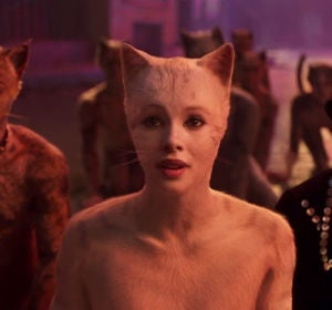 'Cats' 'Cats'