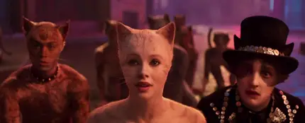 'Cats' 'Cats'