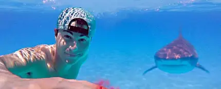 La prueba de un youtuber con tiburones La prueba de un youtuber con tiburones