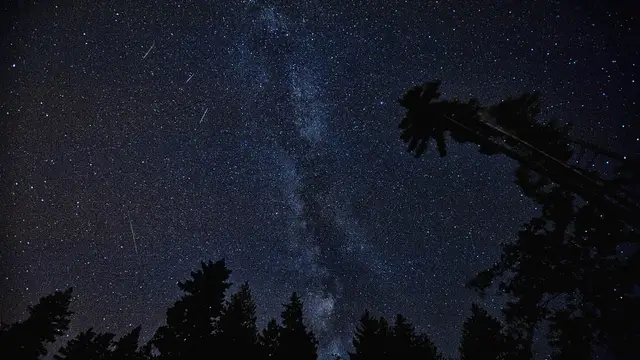 Perseidas