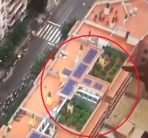 Imagen de la azotea con las plantas de cannabis tomada por el helicóptero de la Vuelta Imagen de la azotea con las plantas de cannabis tomada por el helicóptero de la Vuelta