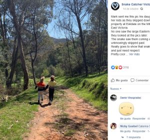 Facebook de Snake Catcher Victoria Facebook de Snake Catcher Victoria