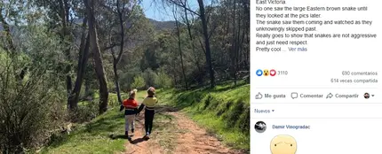 Facebook de Snake Catcher Victoria Facebook de Snake Catcher Victoria