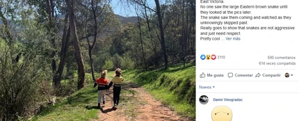 Facebook de Snake Catcher Victoria Facebook de Snake Catcher Victoria