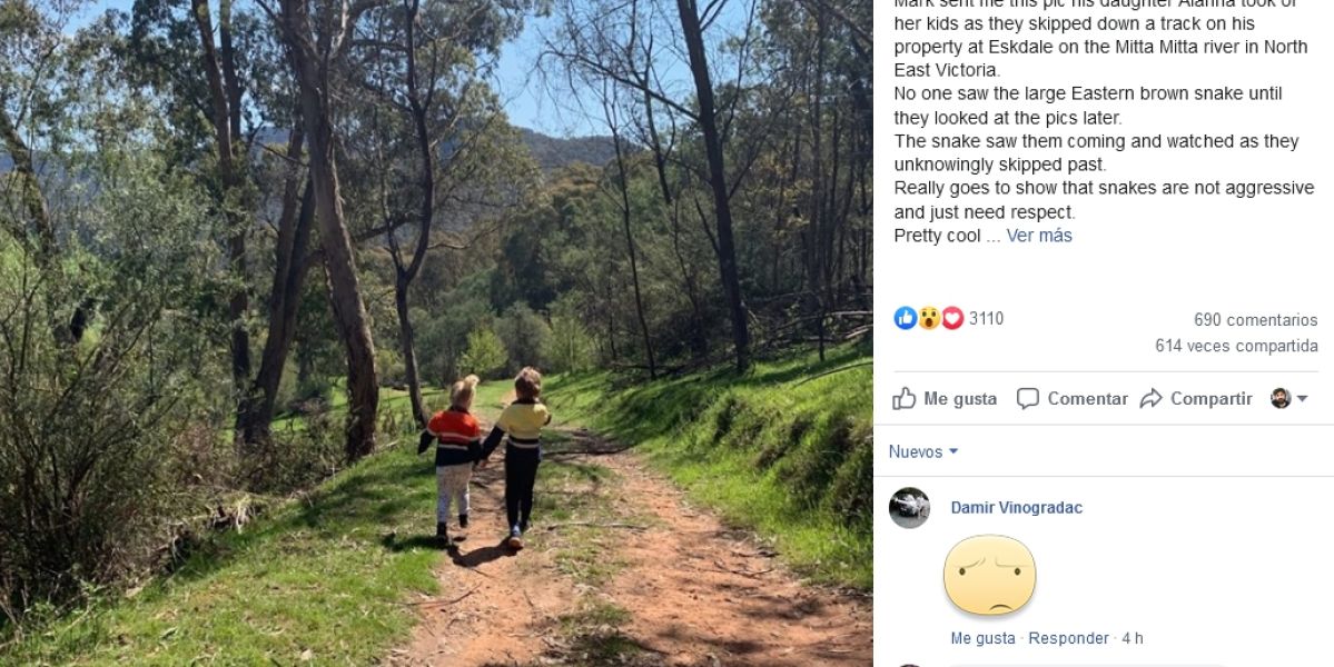 Facebook de Snake Catcher Victoria