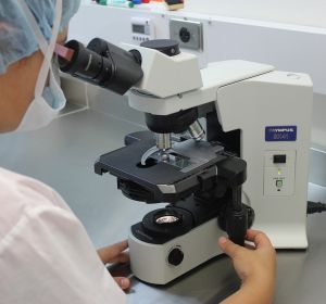 Investigación Investigación