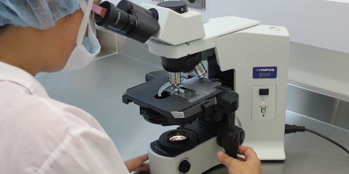 Investigación