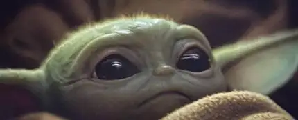 Baby Yoda Baby Yoda