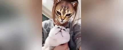 VÍDEO: Estos gatos flipan con el filtro que convierte a sus amos en felinos VÍDEO: Estos gatos flipan con el filtro que convierte a sus amos en felinos