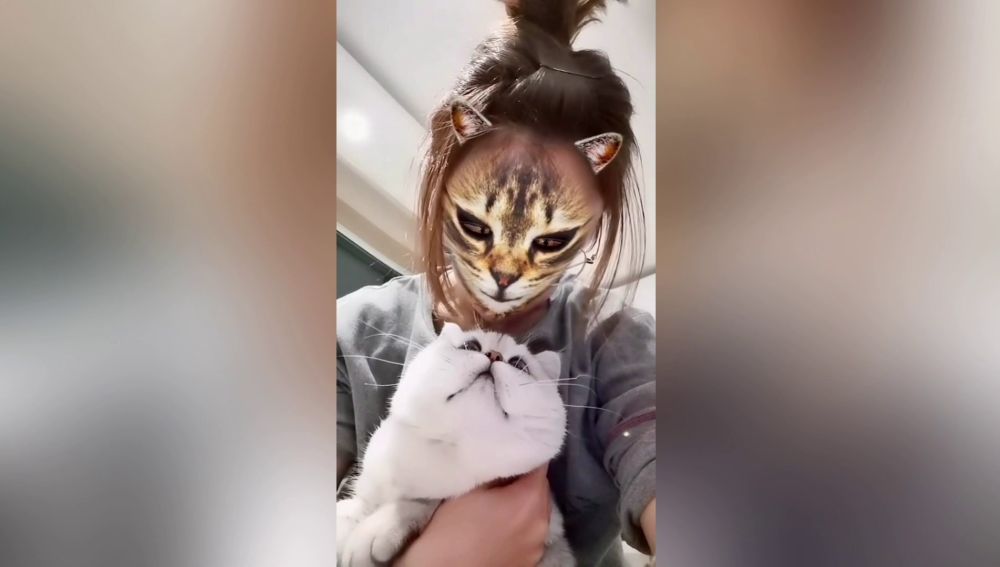 VÍDEO: Estos gatos flipan con el filtro que convierte a sus amos en felinos