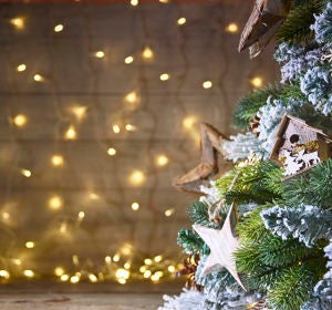 Renueva tu árbol de Navidad Renueva tu árbol de Navidad