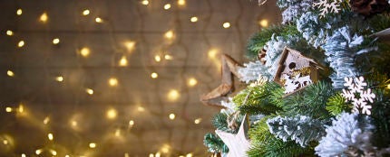 Renueva tu árbol de Navidad