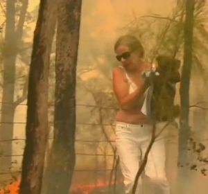 El desgarrador rescate de un koala en medio de las llamas por los incendios de Australia El desgarrador rescate de un koala en medio de las llamas por los incendios de Australia