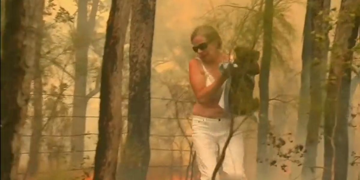 El desgarrador rescate de un koala en medio de las llamas por los incendios de Australia