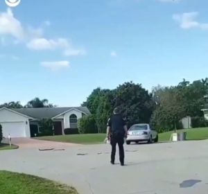 REEMPLAZO Rescatan a un perro que llevaba una hora conduciendo en círculos en Florida REEMPLAZO Rescatan a un perro que llevaba una hora conduciendo en círculos en Florida