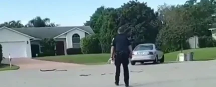 REEMPLAZO Rescatan a un perro que llevaba una hora conduciendo en círculos en Florida REEMPLAZO Rescatan a un perro que llevaba una hora conduciendo en círculos en Florida