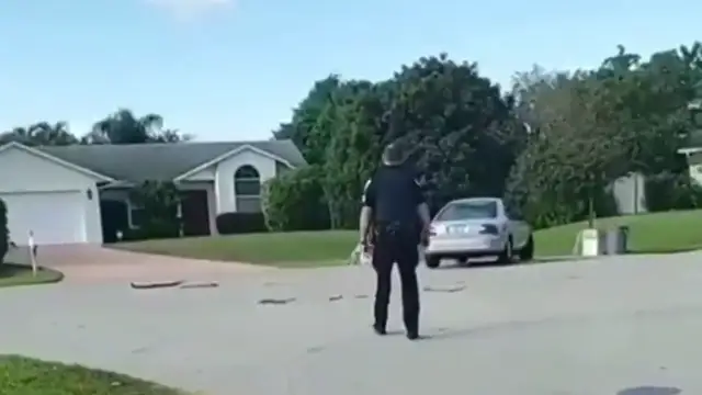 REEMPLAZO Rescatan a un perro que llevaba una hora conduciendo en círculos en Florida