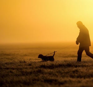 Perro y su dueño Perro y su dueño