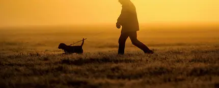 Perro y su dueño Perro y su dueño